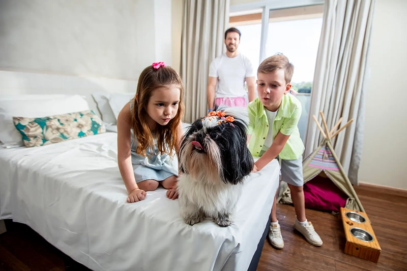 Resort de alto padrão